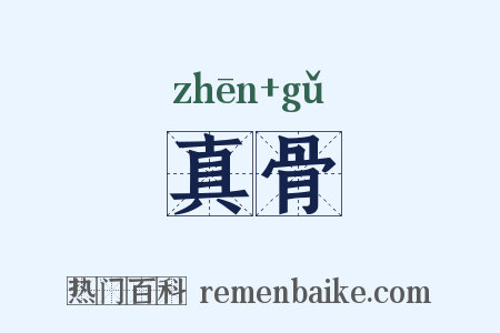 真骨是什么意思的图片